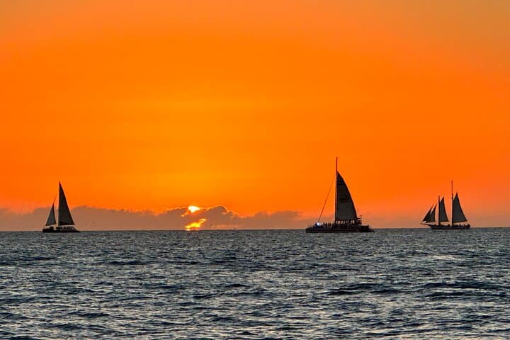 Sunset Dolphin Cruise to Shell Island — 2‑Hour Private Tour in Panama City Beach photo 5