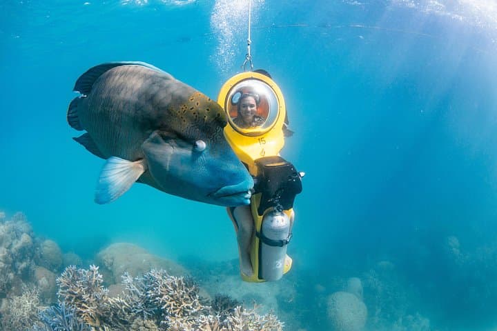 Great Barrier Reef Full-Day Pontoon: Snorkel, Semi-Submersible & Reef Activities from Cairns photo 4