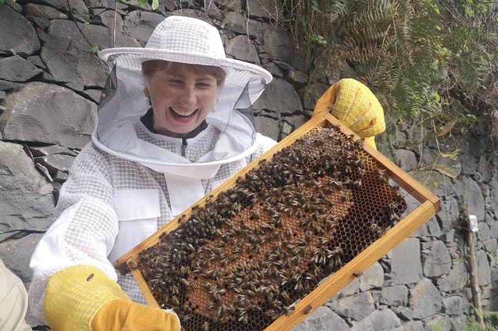 Madeira Bee-Hive Experience: Honey, Pollen & Beekeeping Tour