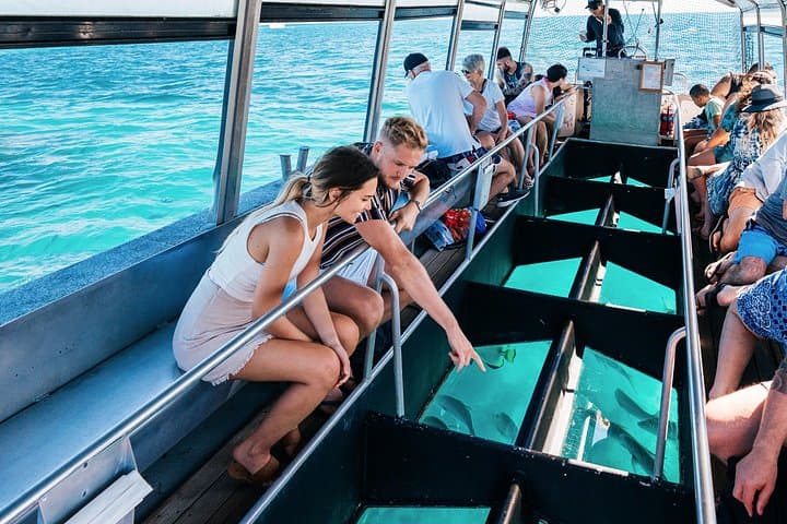 Green Island Snorkel & Glass-Bottom Boat from Cairns: Reef, Rainforest and Easy Day Trip photo 2