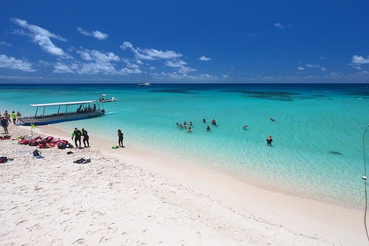Sail to Michaelmas Cay: Great Barrier Reef Snorkel & Dive from Cairns photo 5