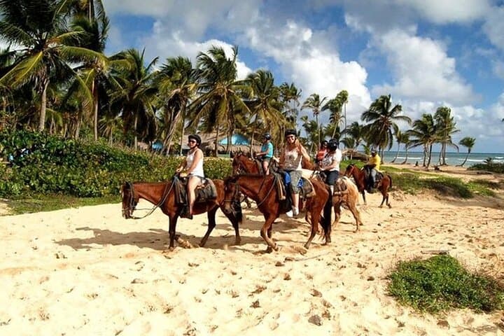 Macao Beach Horseback Ride: Punta Cana Coastal Trail & Village Tour photo 1