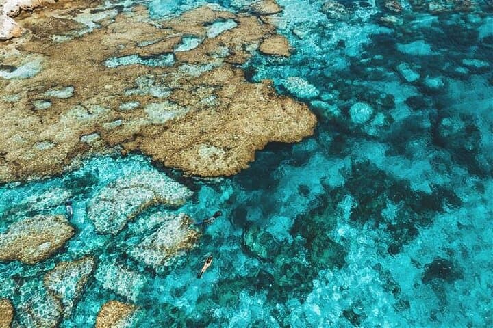 Rottnest Island Round-Trip Ferry from Fremantle — Beaches, Quokkas & Bike Trails photo 2