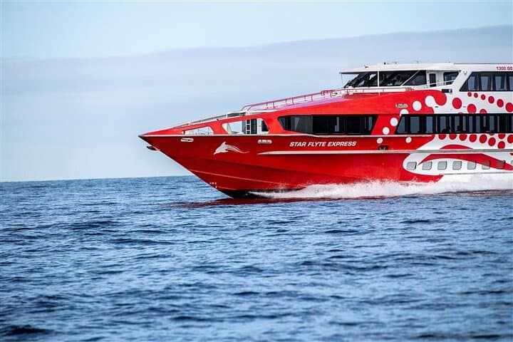 Rottnest Island Round-Trip Ferry from Fremantle — Beaches, Quokkas & Bike Trails photo 4