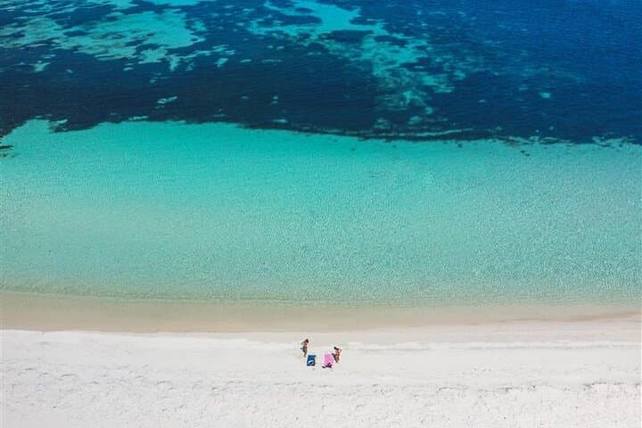 Rottnest Island Round-Trip Ferry from Fremantle — Beaches, Quokkas & Bike Trails
