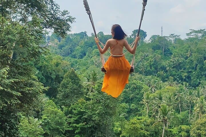 Private Bali Day Tour: Ubud Rice Terraces, Monkey Forest & Tirta Empul (8–10 hr) photo 3
