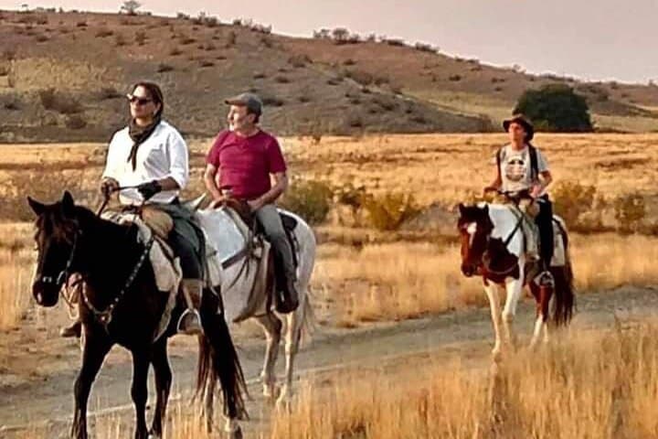 Bazaleti Lake Horseback Ride from Tbilisi with Farm-to-Table Lunch photo 3