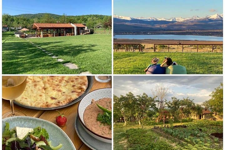 Bazaleti Lake Horseback Ride from Tbilisi with Farm-to-Table Lunch photo 1