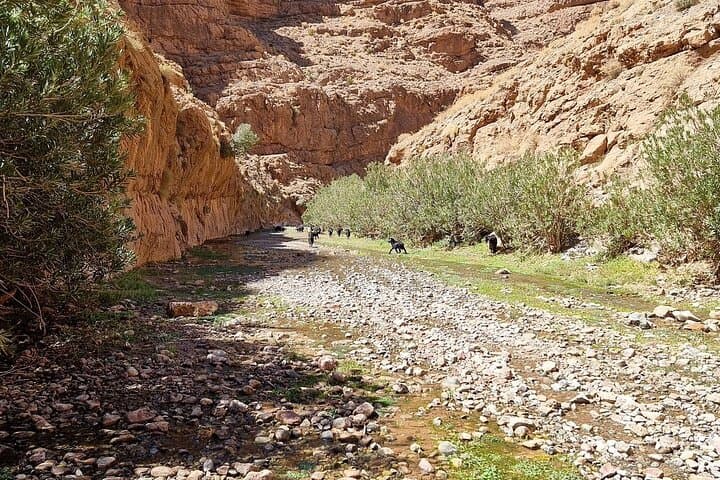 Trekking and Climbing the Dades Gorges: Guide to Morocco's Red Canyons photo 5