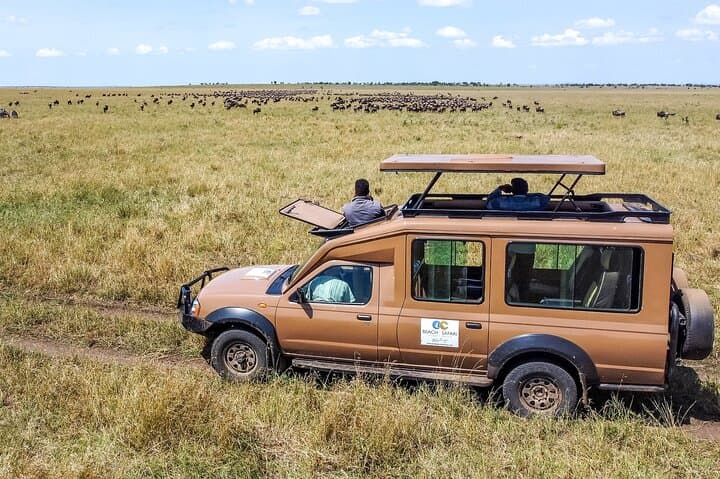4-Day Serengeti Safari from Zanzibar — Walking & Night Game Drives Included photo 2