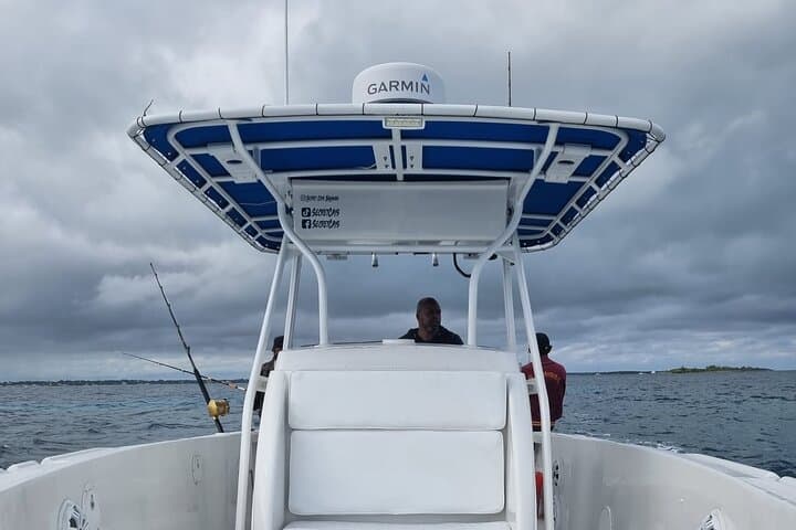 Private Nassau Charter: Snorkel, Swim with Turtles & Pigs, and Fish from a 35' Donzi