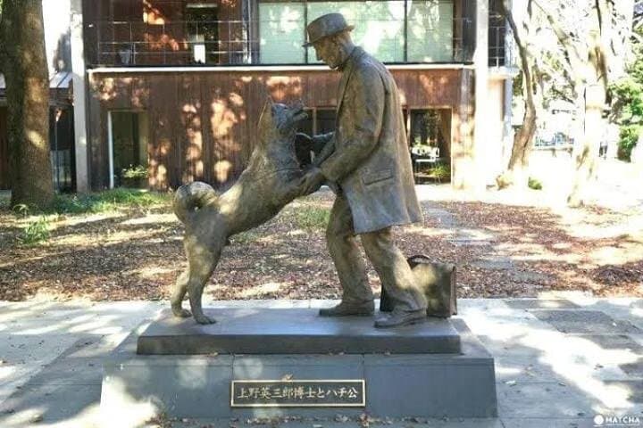 Private Tokyo Day Tour by Car: Senso-ji, Skytree, Shibuya & Tsukiji in One Day photo 1