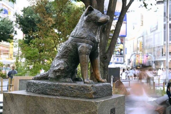 Private Tokyo Day Tour by Car: Senso-ji, Skytree, Shibuya & Tsukiji in One Day photo 3