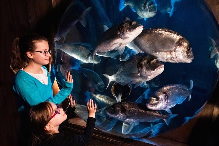 SEA LIFE Speyer — Underwater Walkthrough & Practical Visitor Guide