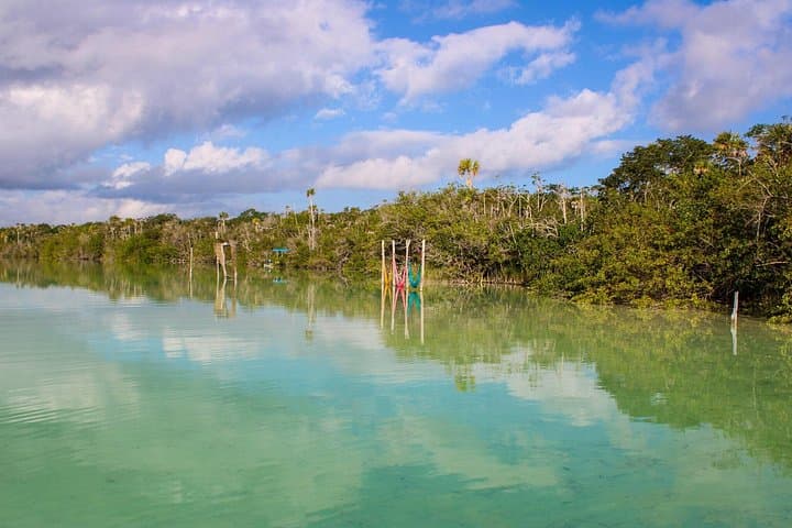 Swim Three Cenotes and a Lagoon: Full-Day Riviera Maya Cenote Tour photo 5