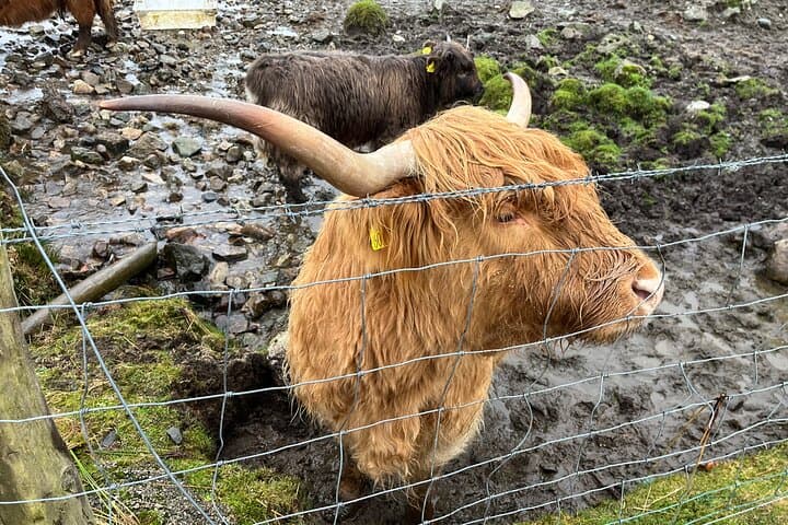 Private Scottish Highlands & Loch Ness Day Tour from Edinburgh — Glencoe, Fort Augustus & Nessie photo 2