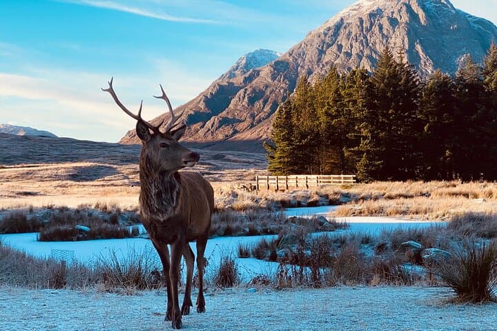 Private Scottish Highlands & Loch Ness Day Tour from Edinburgh — Glencoe, Fort Augustus & Nessie
