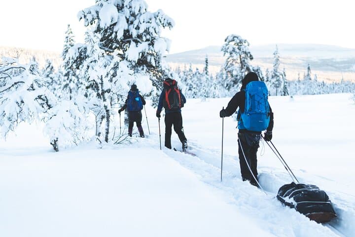 Fulufjället Ski Touring: Multi-Day Winter Expedition from Navardalen photo 2