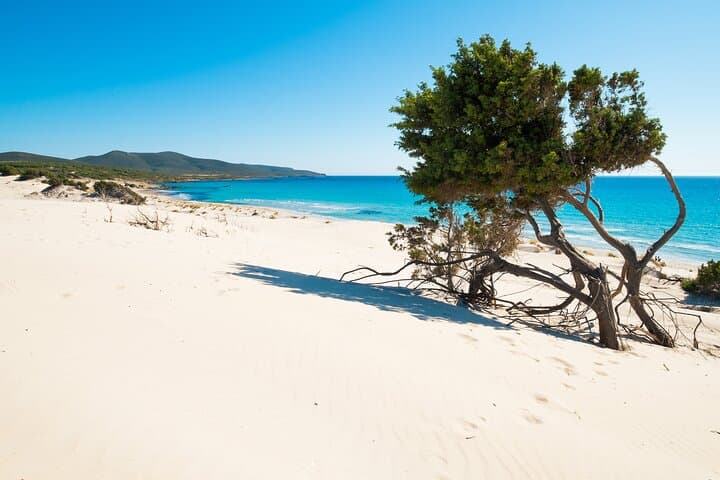 Porto Pino & Piscinnì Beach Tour from Cagliari — Day Trip to Is Arenas Biancas and Costa del Sud photo 2