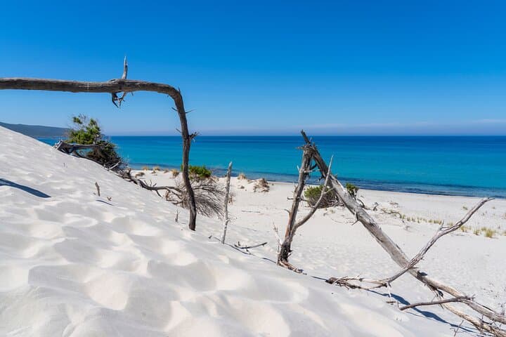 Porto Pino & Piscinnì Beach Tour from Cagliari — Day Trip to Is Arenas Biancas and Costa del Sud photo 4