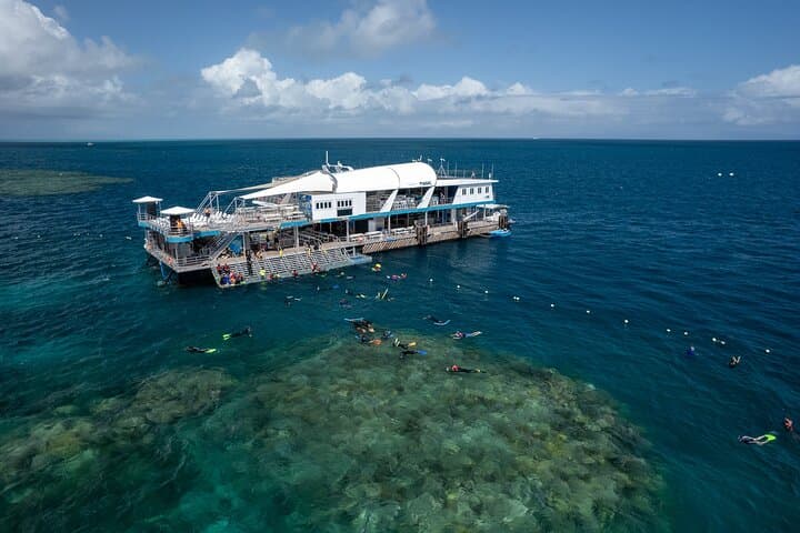 Great Barrier Reef Day Trip from Cairns — Snorkel, Dive & Marine-Biologist Experience photo 6
