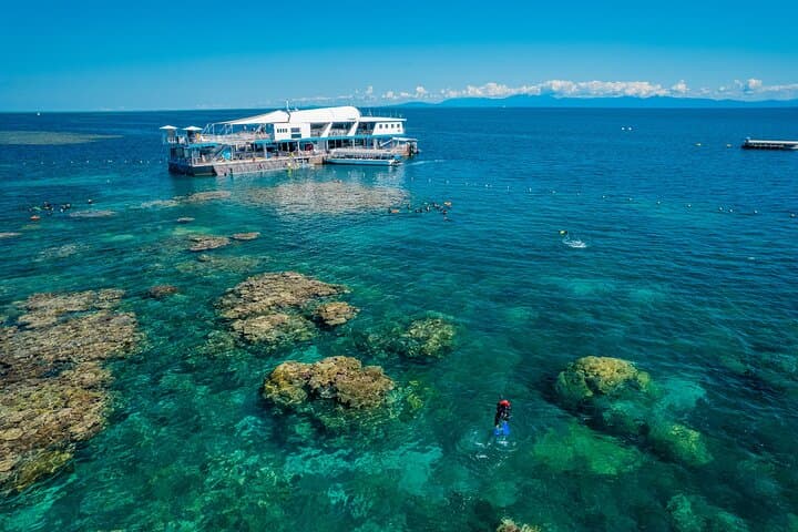 Great Barrier Reef Day Trip from Cairns — Snorkel, Dive & Marine-Biologist Experience photo 2