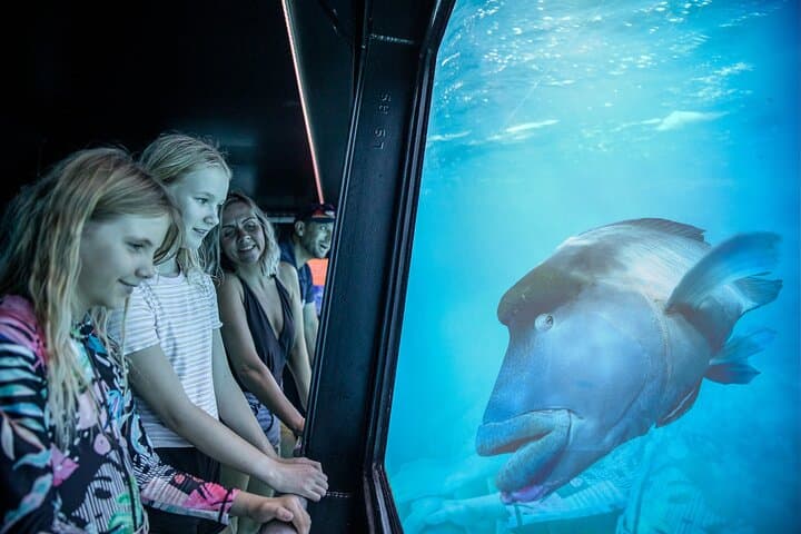 Great Barrier Reef Day Trip from Cairns — Snorkel, Dive & Marine-Biologist Experience photo 4
