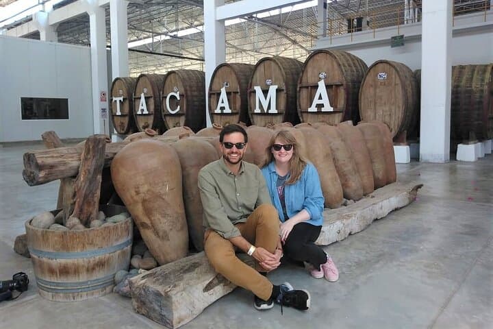 Paracas to Ica: Tacama Winery, Huacachina Dunes & ROV Adventure photo 1