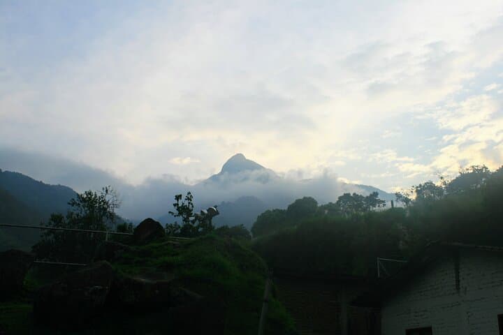 Pico de Loro Hike: 12‑Hour Private Trek in the Farallones de Cali photo 2