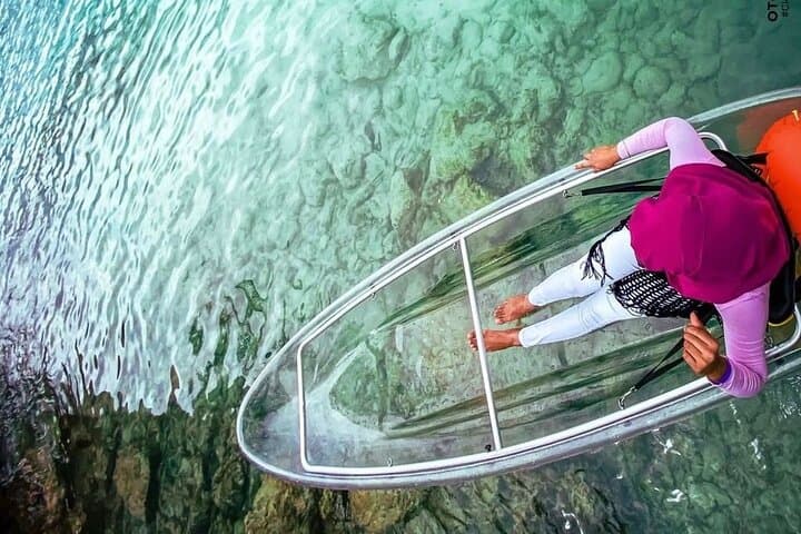 Clear Kayaking in Tobago: Glass-Deck Kayak Tours from Swallows Beach photo 3