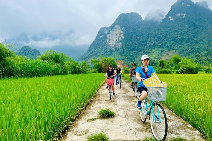 Trang An Grottoes, Hoa Lu & Mua Cave — 1-Day Ninh Binh Tour from Hanoi photo 4