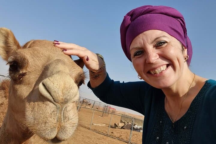 Camel Ride Safari in Dubai Red Dunes — 4-Hour Al Madam Desert Experience photo 2