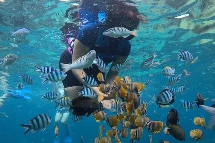 Blue Lagoon Snorkeling & Ubud Monkey Forest Day Trip from Padangbai photo 2