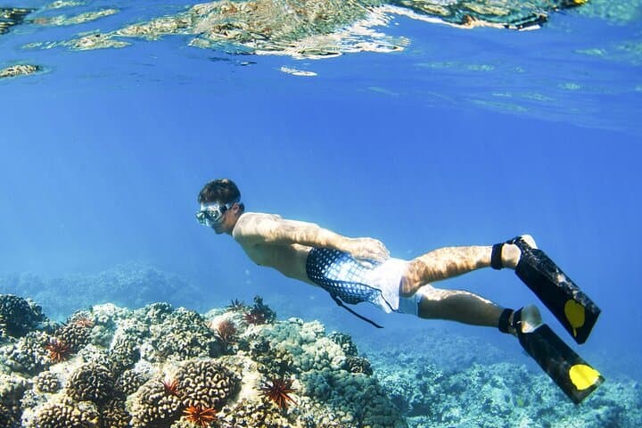 Blue Lagoon Snorkeling & Ubud Monkey Forest Day Trip from Padangbai photo 4