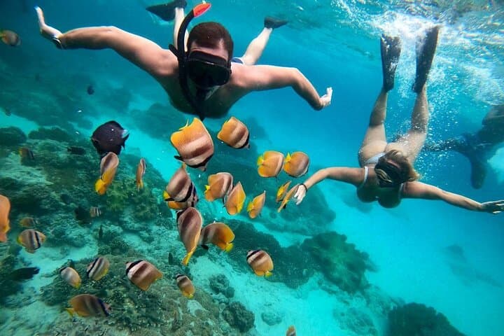 Blue Lagoon Snorkeling & Ubud Monkey Forest Day Trip from Padangbai