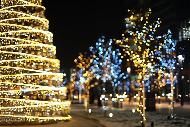 Minneapolis Christmas Walking Tour: Private City Lights, History & Holiday Traditions photo 5