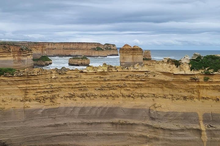 Private Luxury Great Ocean Road Reverse Tour from Melbourne — Twelve Apostles, Otways & Wildlife photo 2