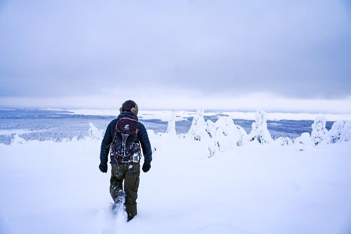 Riisitunturi Winter Adventure: Frozen Forest Hike from Rovaniemi photo 2