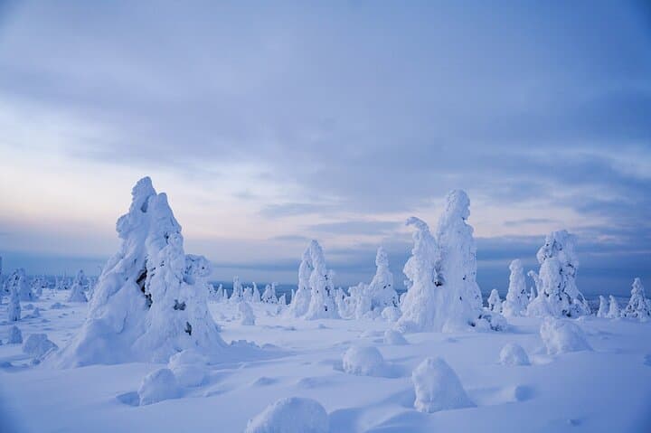 Riisitunturi Winter Adventure: Frozen Forest Hike from Rovaniemi photo 3