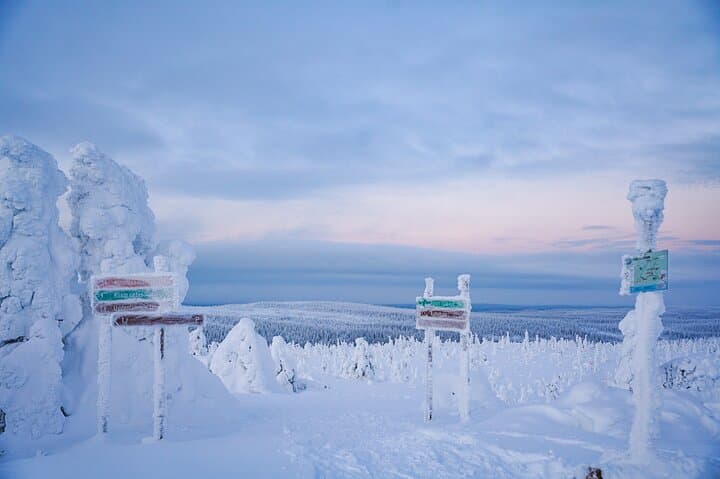 Riisitunturi Winter Adventure: Frozen Forest Hike from Rovaniemi photo 4
