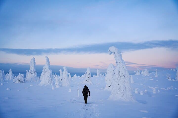 Riisitunturi Winter Adventure: Frozen Forest Hike from Rovaniemi photo 5