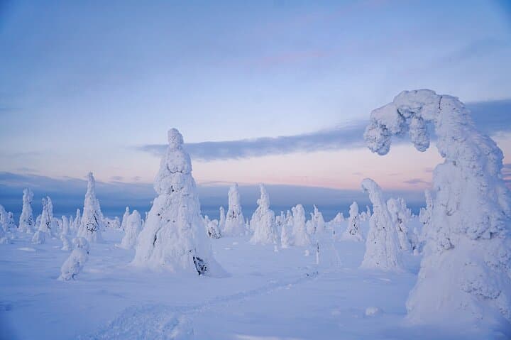 Riisitunturi Winter Adventure: Frozen Forest Hike from Rovaniemi photo 6