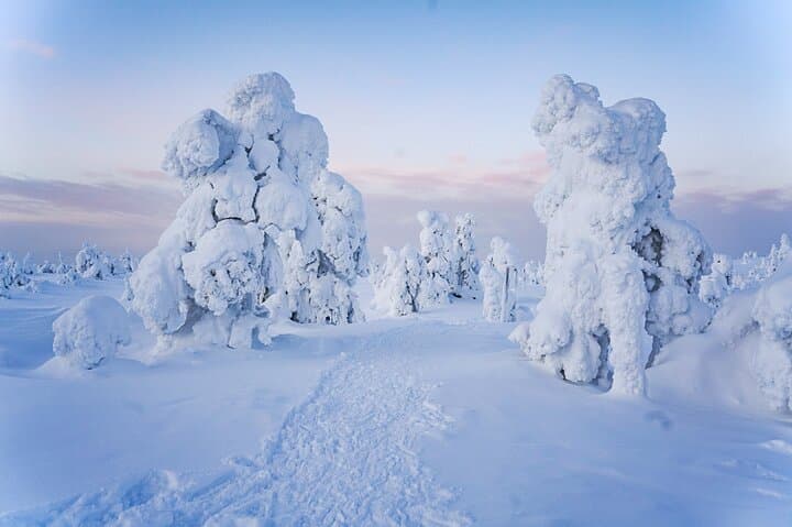 Riisitunturi Winter Adventure: Frozen Forest Hike from Rovaniemi