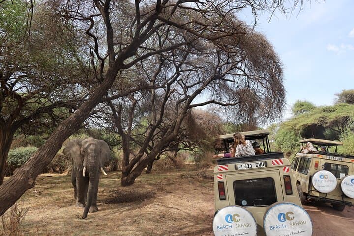 2-Day Tarangire & Lake Manyara Safari from Zanzibar — Flights Included photo 5