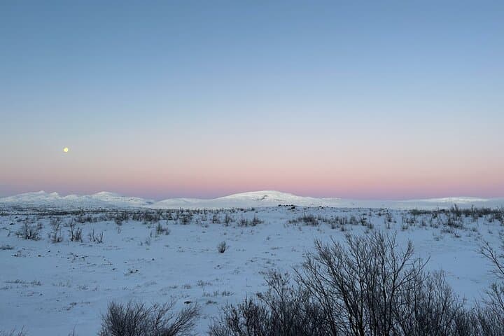 Day Trip from Kiruna: Abisko Canyon, Lake Torneträsk & Silver Waterfall Hike photo 3
