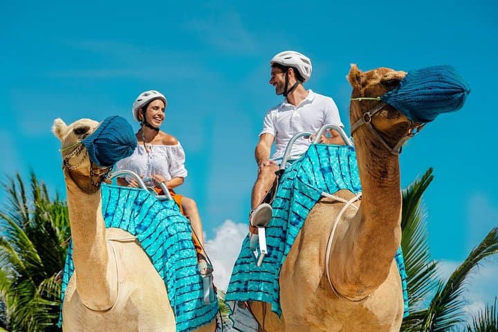 Camel Expedition on Maroma Beach — Riviera Maya Camel Ride & Beach Club photo 2