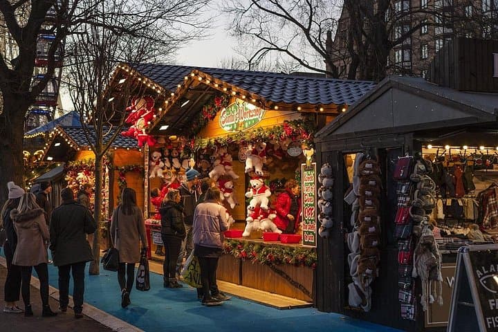 Buffalo Winter Lights Private Tour — Lafayette Square, Holiday Market & Canalside photo 2