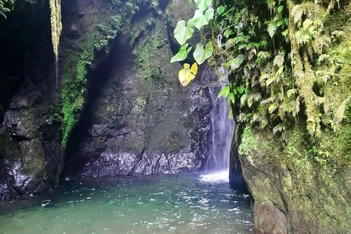 Quito to Mindo Full-Day Waterfall & Chocolate Experience photo 2