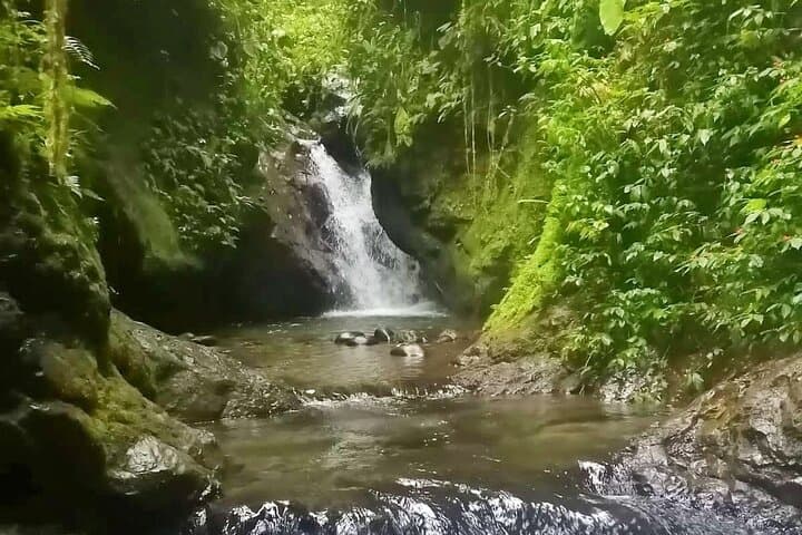 Quito to Mindo Full-Day Waterfall & Chocolate Experience photo 4