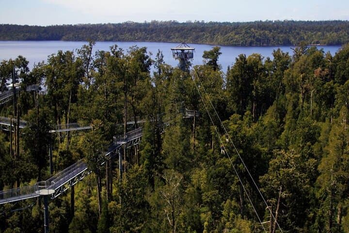 West Coast Tower Zipline & Treetop Walk: Greymouth Canopy Adventure